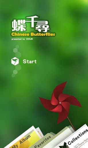Chinese Butterflies