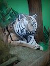 Grafiti Del Tigre