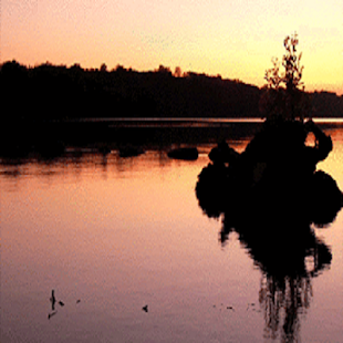 How to mod Evening lake Live Wallpaper 1.0 mod apk for pc