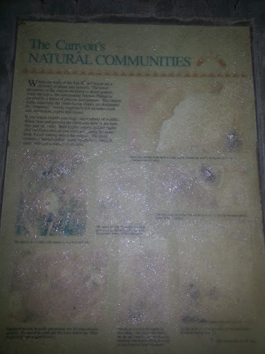 The Canyon's Natural Comunities