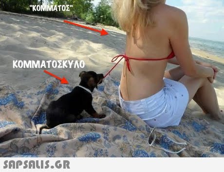 ΚΟΜΜΑΤΟΣΚΥΛΟ SAP SALis.or