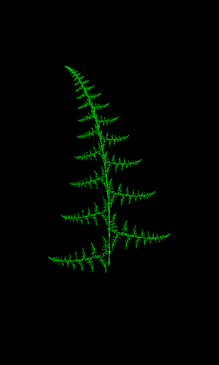 Barnsley Fern Demo