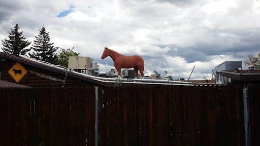 The Horse On The Roof.