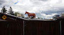 The Horse On The Roof.