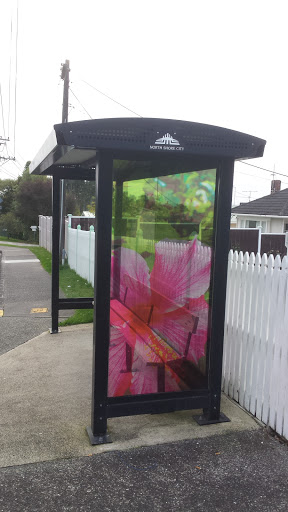 Hibiscus on a Bus Stop