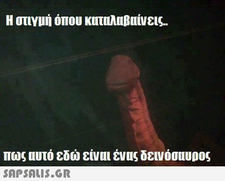 Η στιγμή όπου καταλαβαίνεις πως αυτό εδώ είναι ένας δεινόσαυρος 