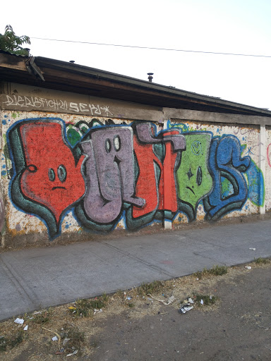 Graffiti Vlaños