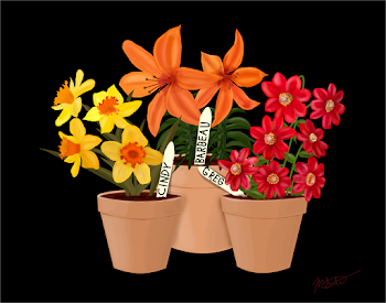 Flower Family