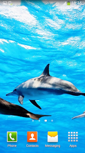 How to install Dolphins Live Wallpaper 2.0 apk for laptop