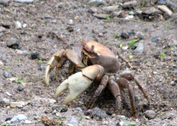 Spotting Image 1