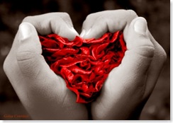 amor1
