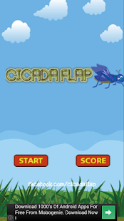 How to install Cicada Flap 1.0 mod apk for laptop