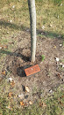 Kevin Patrick McDonough Memorial Tree