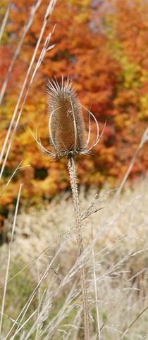 [2008.10.18_8023[2].jpg]