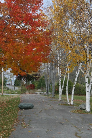 [2008.10.25_8109[3].jpg]