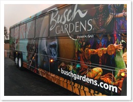 BGbus