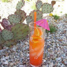 Campari and Orange Juice