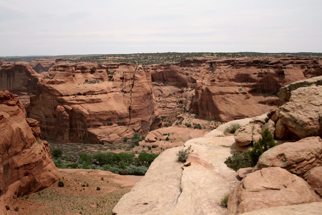 [IMG_3775[4].jpg]