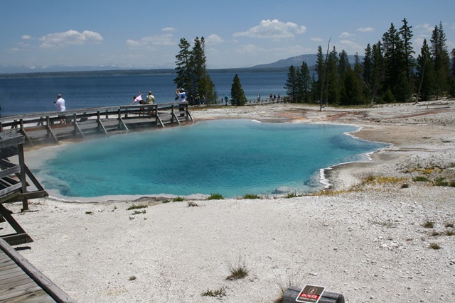[IMG_44524.jpg]