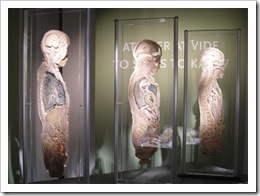 Bodies3