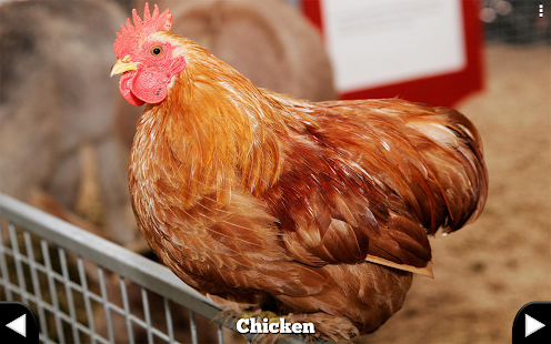 How to download Farm Animals for Toddlers 1.1 mod apk for laptop