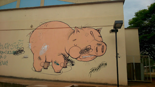 Pig Pork