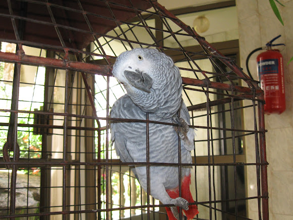 Spotting Image 1