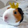 will-I-Am-Rodent-Geek