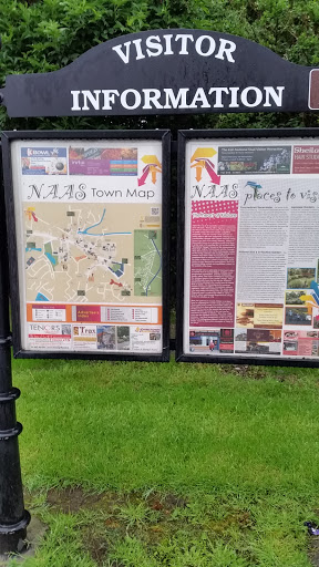Naas Visitor Map