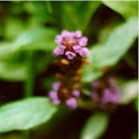 Self heal