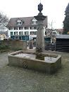 Town Fountain Wädenswil