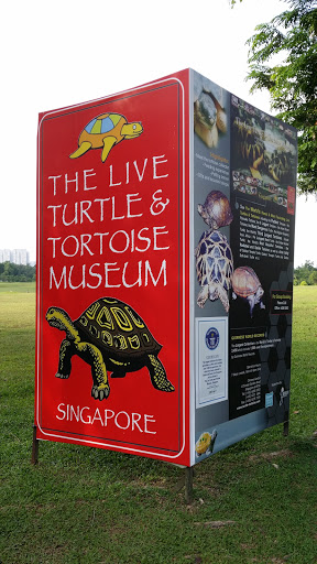 Live Turtle Museum
