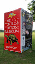 Live Turtle Museum