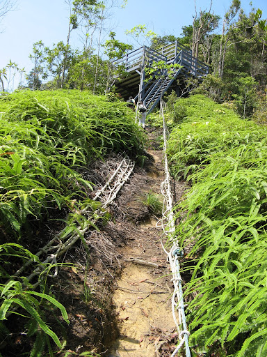 Viewing platform at Laksamana Hill