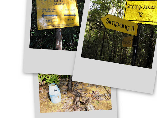 Direction & clues