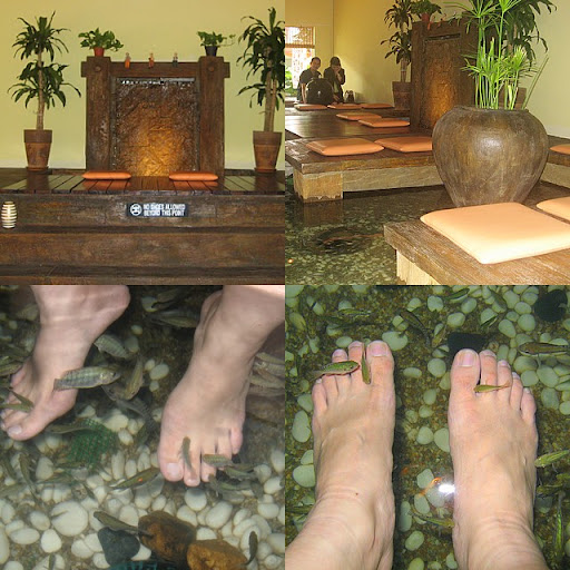 Fish Spa