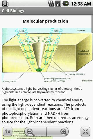 【免費書籍App】Cell Biology Study Guide-APP點子