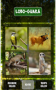 How to download Animals Time Attack SmartWatch lastet apk for pc