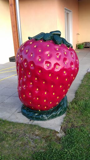 Erdbeere Rammertshof