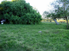 Chacra De 36 Hectareas Excelente Coneat 213
