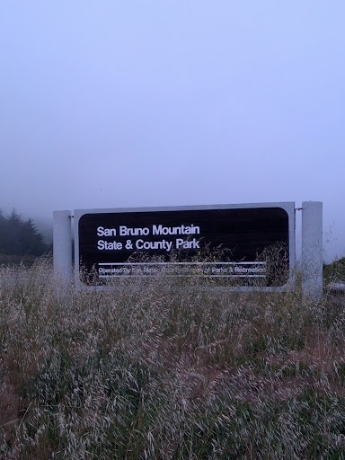 San Bruno Mountain State and County Park