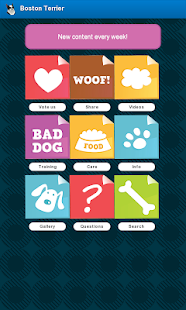 How to mod Boston Terrier 1.20 mod apk for bluestacks