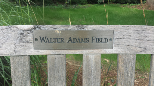 Walter Adams Field Tribute