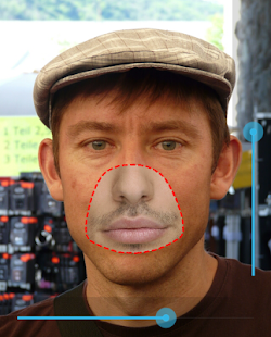 download Face Paste free