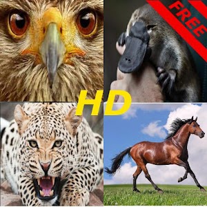 Animals voices HD FREE.apk 1.3