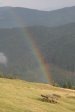 [rainbow[2].jpg]