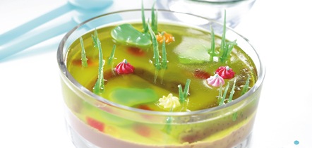 [Pondwater_Jelly[2].jpg]