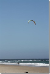 IMG_0073 (Medium)