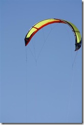 IMG_0100 (Medium)