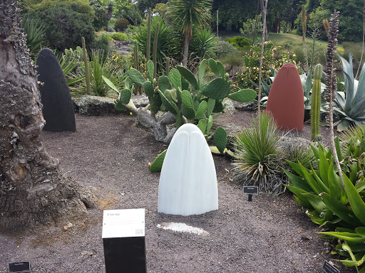 Stone Flowers 